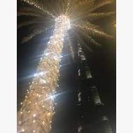 Дубай2018__10